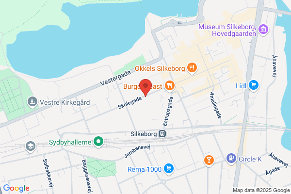 Lægerne i Skolegade