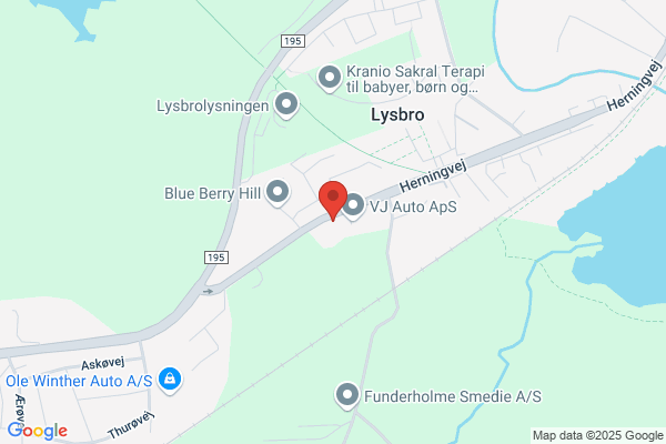 Borghus W og Søn