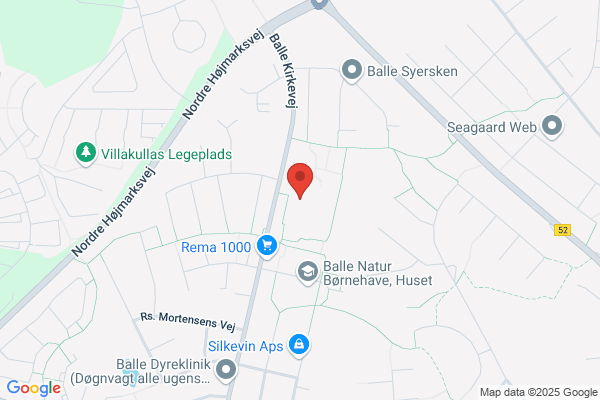Balleskolen