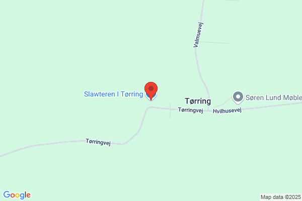 Ringgårdens Slagter