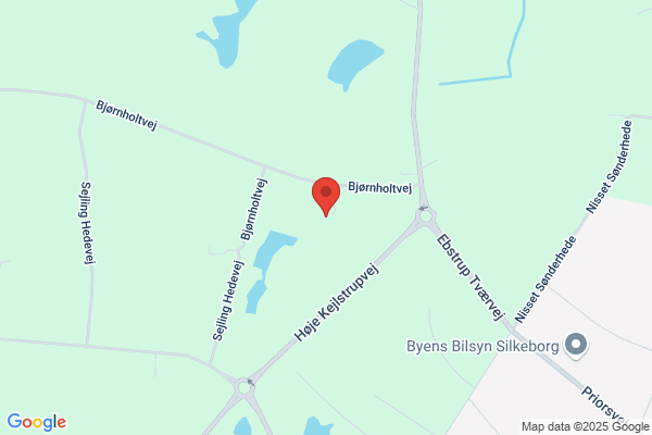Hansen, Poul
