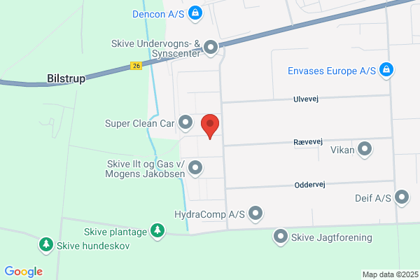 Dueholm Biler