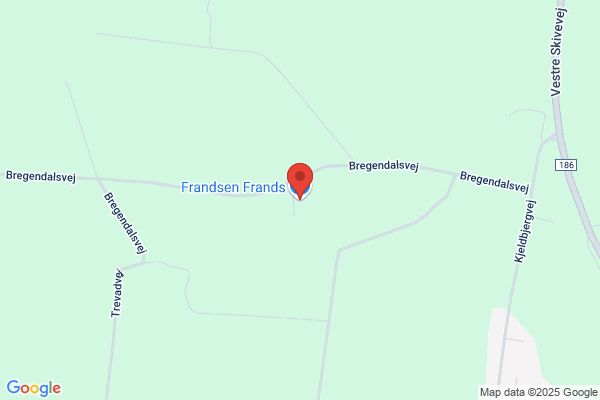 Frands Dækservice