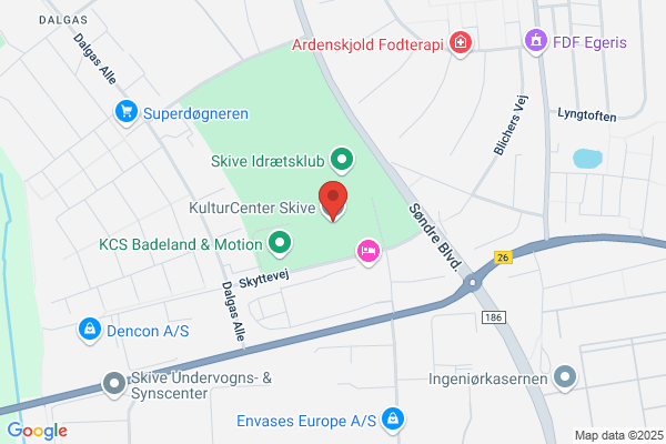 Fink Verner