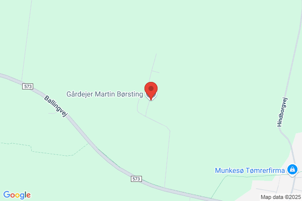 Børsting, Martin