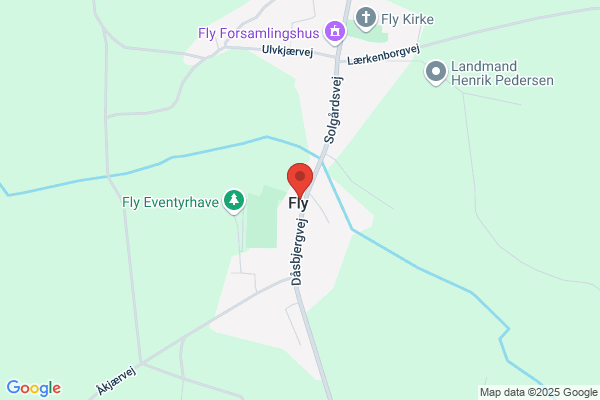 Fly vandværk