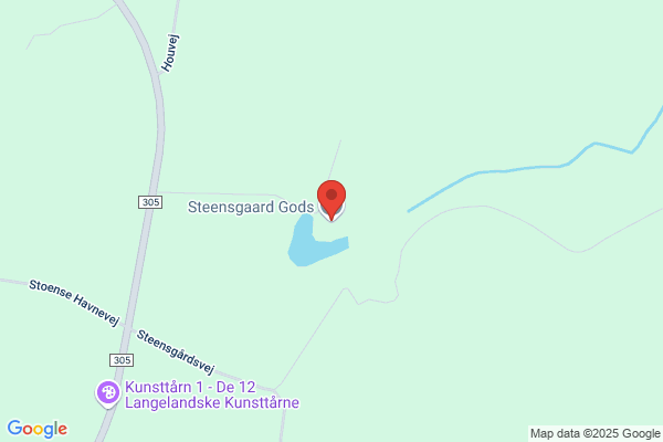 Dansgaard Steen
