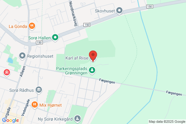 Det danske Spejderkorps, Karl af Riise gruppe