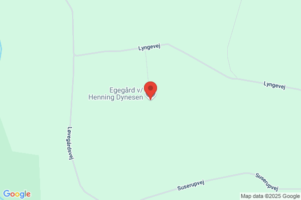 Dynesen, Henning