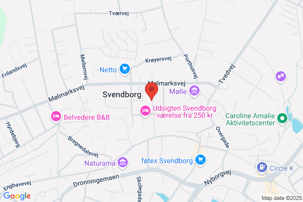 DUI's Støtteforening Falkevenner