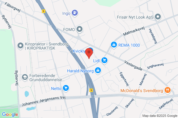 Service-Ringen