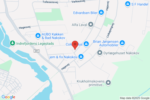 Jehovas Vidner