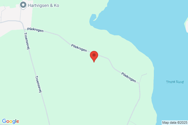 Skovbjerg, Jan