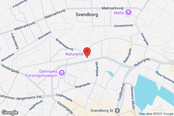 Zoologisk Museum