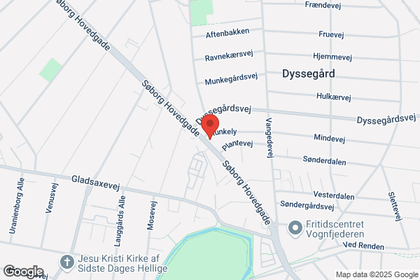 Bin Sen Akupunktur