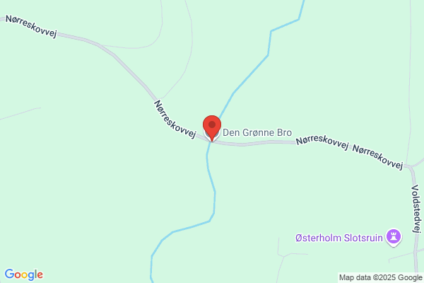 Grønne Linie, Den