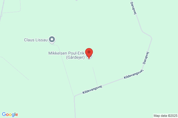 Mikkelsen, Erik