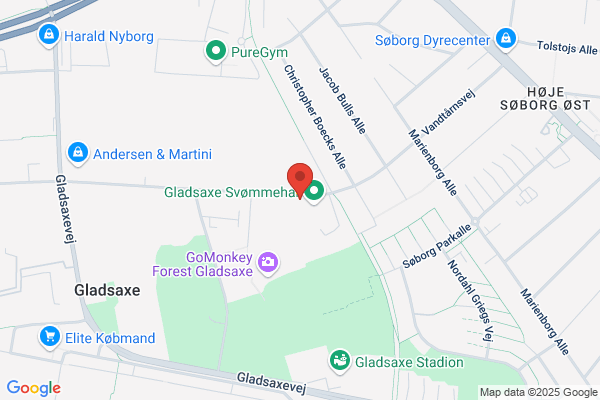 Aikido, Toitsu - Ki & Aikido Dojo Gladsaxe