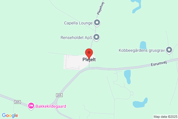 Købmanden I Plejelt (Bo Blidsøe)