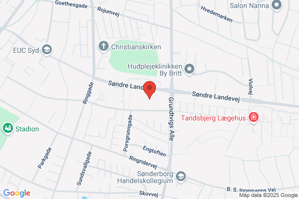 Sønderborg Handelsskole