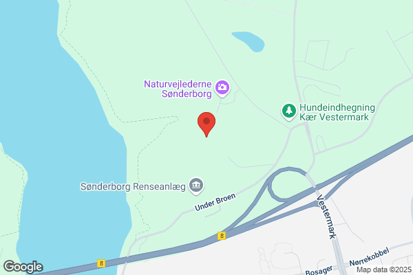 Sønderborg Amatørorkester