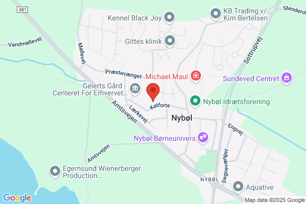 Fysioterapi, Klinik for