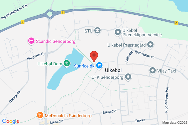 Danske Spejderkorps, Det
