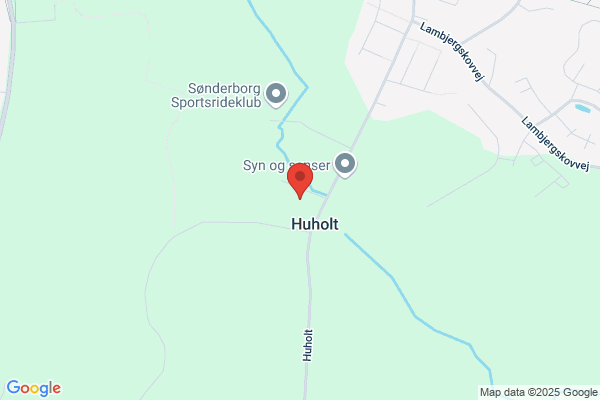 Skolefritidsordningen ved Huholt skole
