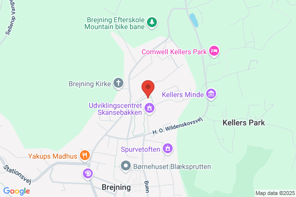 Rønnebakken