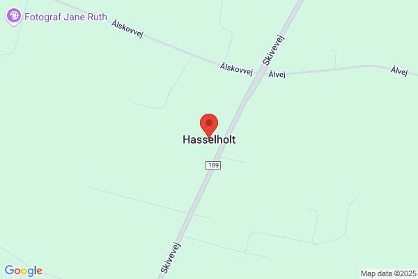 Hesselholdt, Bjarne