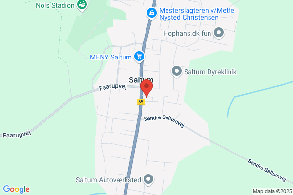 Saltum Antik