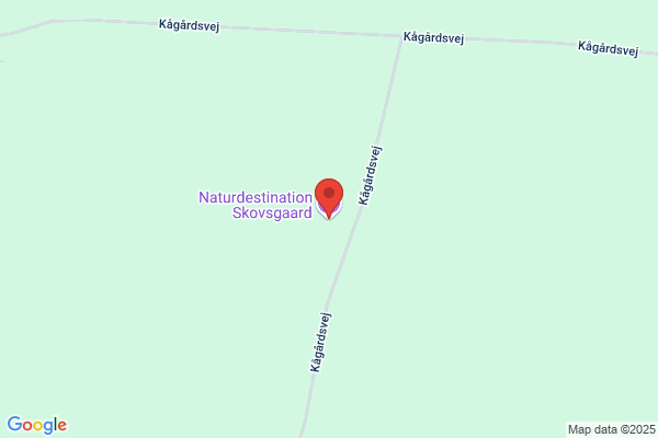 Skovsgaard, Brdr.