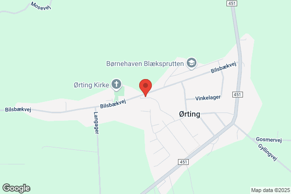 Ørting Auto-Blik