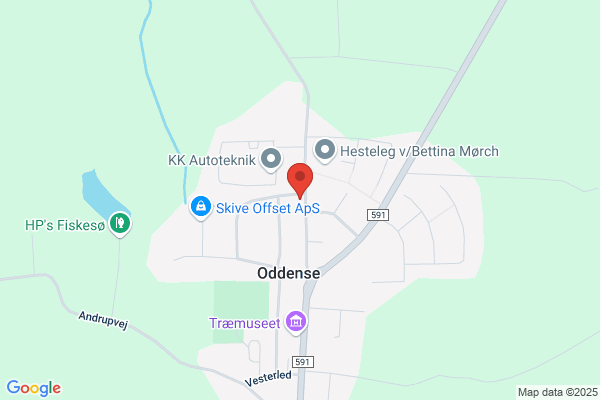 Oddense Murerforretning ApS