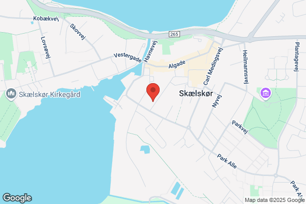 Autoskolen
