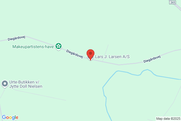 Larsen, Erik