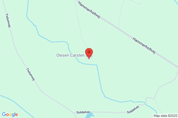 Olesen, Peter