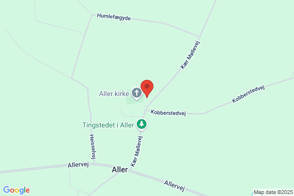 Aller Friskole
