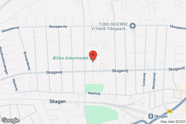 Ankermedet, Salon