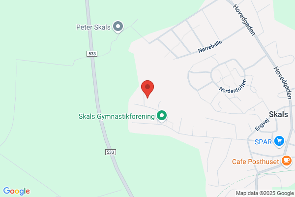 Skals Regnskabsservice
