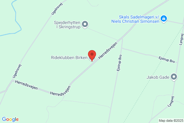 Birken, Rideskolen
