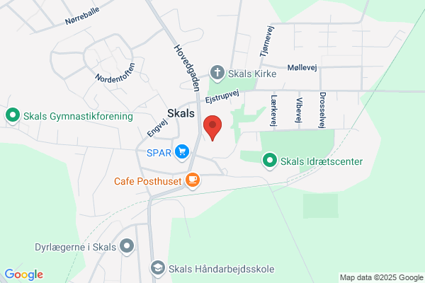 Skals Skole