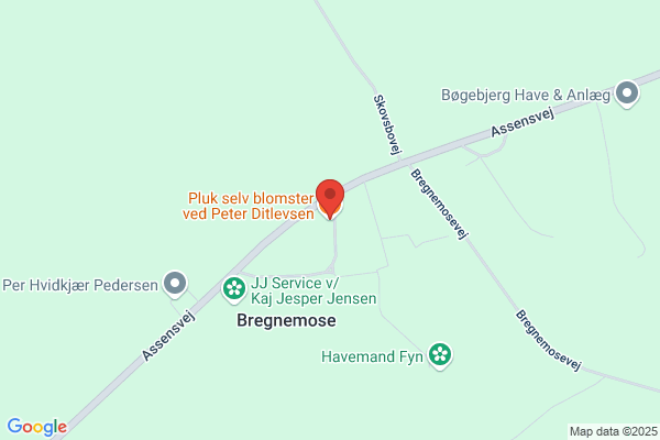 Bøgegården Tørrede Blomster