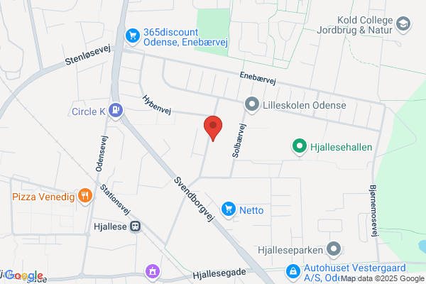 Gitte, Salon