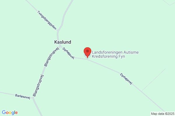 Landsforeningen Autisme, Fyn Lokalforening