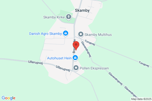 Venstre I Skamby Sogn