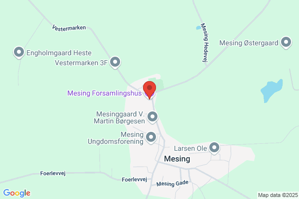 Mesing Ungdoms- og Idrætsforening