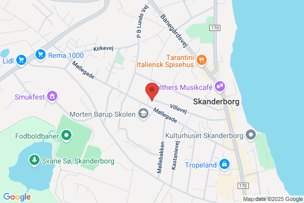 Ledernes Hovedorganisation LH