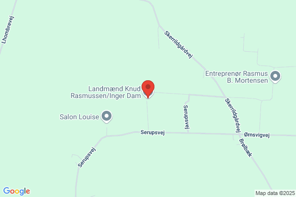Dam, Inger