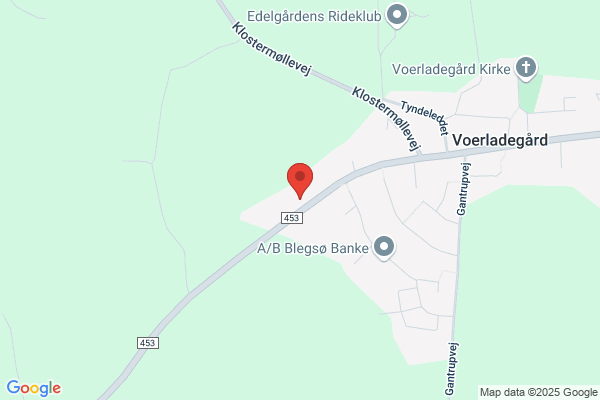Solsikken